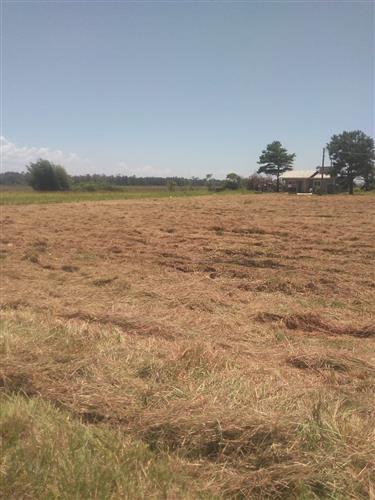 Terrenos de 300m² na Praia do Paraíso 