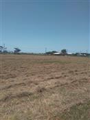 Terrenos de 300m² na Praia do Paraíso 