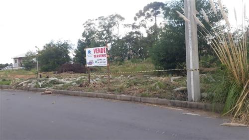 Terreno Diamantino 