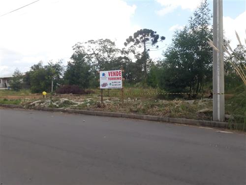 Terreno Diamantino 